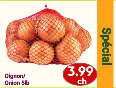Onion | Oignon