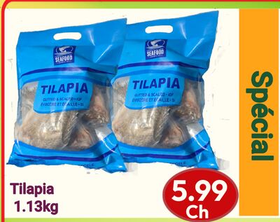 Tilapia