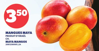 MANGUES MAYA | MAYA MANGOS