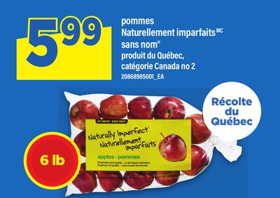 POMMES NATURELLEMENT IMPARFAITS SANS NOM®