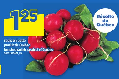 RADIS EN BOTTE | BUNCHED RADISH,