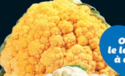 CHOU-FLEUR ORANGE