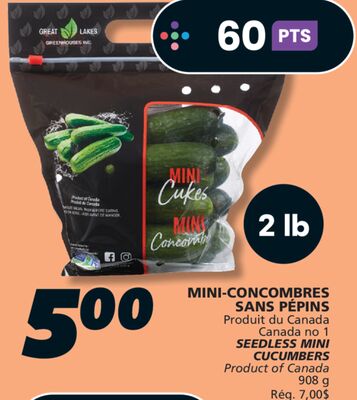 MINI-CONCOMBRES SANS PÉPINS