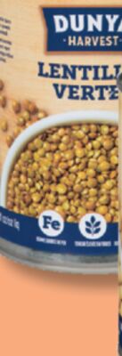 LENTILLES DUNYA HARVEST