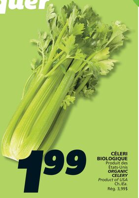 CÉLERI BIOLOGIQUE
