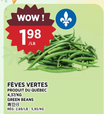 FÈVES VERTES
