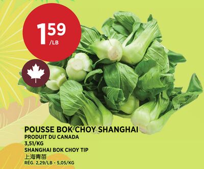 POUSSE BOK CHOY SHANGHAI