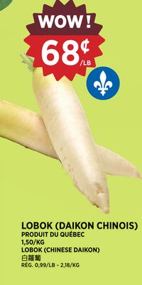 LOBOK (DAIKON CHINOIS)