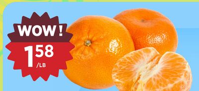ORRI MIEL TANGERINE