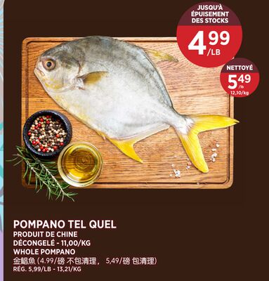 POMPAANO TEL QUEL