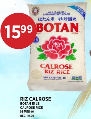 RIZ CALROSE BOTAN