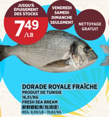 FRESH SEA BREAM