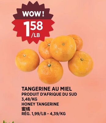 TANGERINE AU MIEL