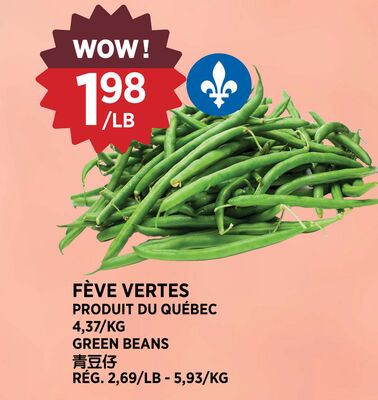 FÈVE VERTES