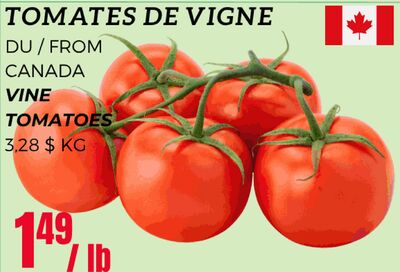 TOMATES DE VIGNE