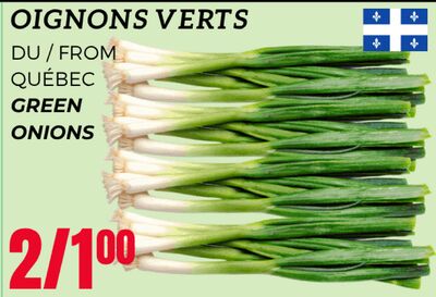 OIGNONS VERTS