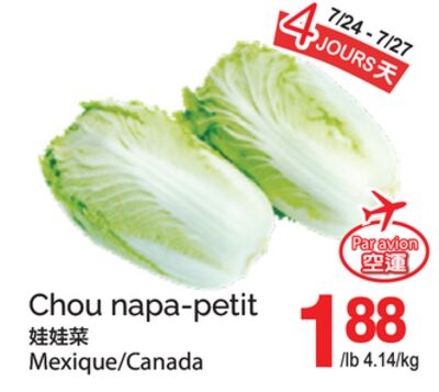 CHOU NAPA-PETIT