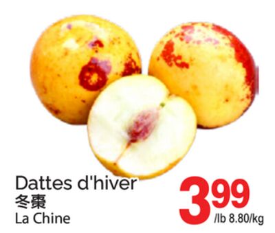 DATTES D'HIVER