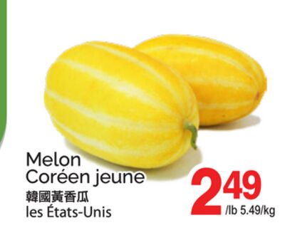 MELON CORÉEN JEUNE