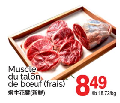 MUSCLE DU TALON DE BŒUF