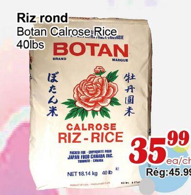 Riz rond