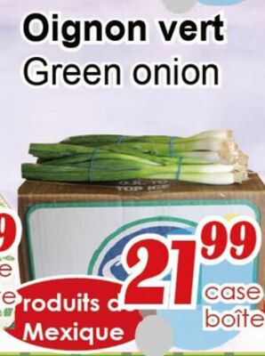 Oignon vert