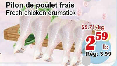 Fresh chicken drumstick