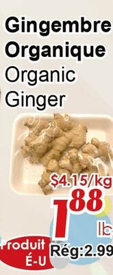Gingembre Organique