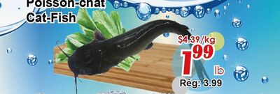 Poisson-chat