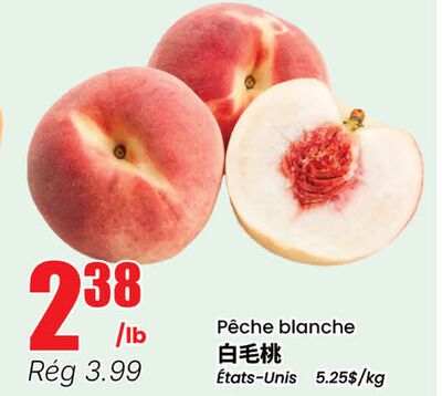 Pêche blanche