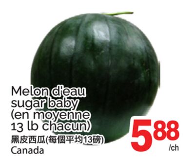 MELON D'EAU SUGAR BABY
