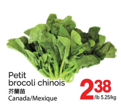 PETIT BROCOLI CHINOIS