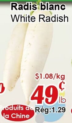 White Radish