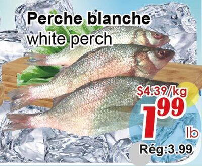 Perche blanche