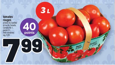 TOMATES ROUGES | FIELD TOMATOES