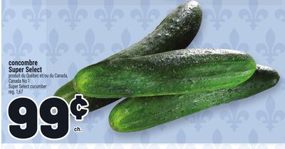 CONCOMBRE SUPER SELECT | SUPER SELECT CUCUMBER