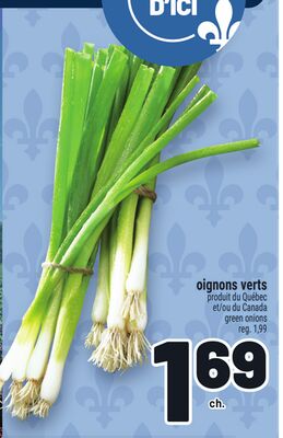 OIGNONS VERTES | GREEN ONIONS
