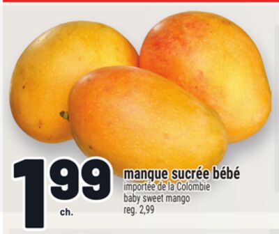 MANGUE SUCRÉE BÉBÉ | BABY SWEET MANGO