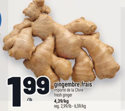 GINGEMBRE FRAIS | FRESH GINGER