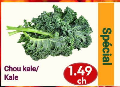 Chou kale | Kale