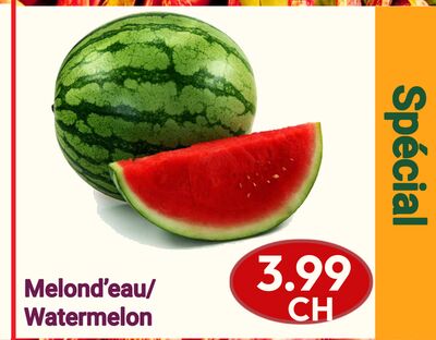 Melond'eau | Watermelon
