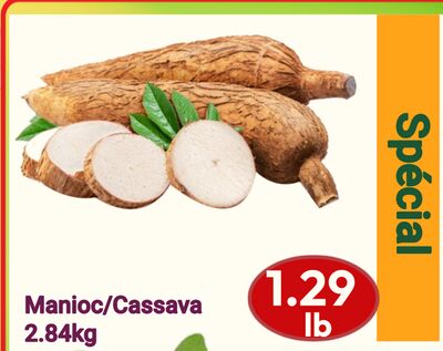 Manioc | Cassava