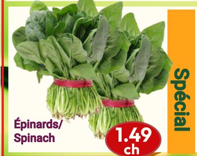 Spinach | Épinards