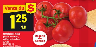 TOMATES SUR VIGNE