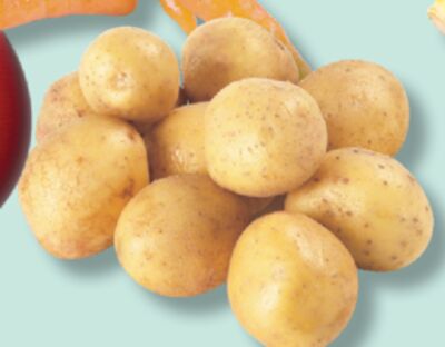 POMMES DE TERRE GRELOTS