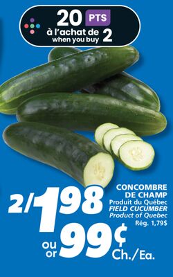 CONCOMBRE DE CHAMP