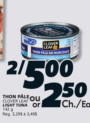 THON PÂLE CLOVER LEAF