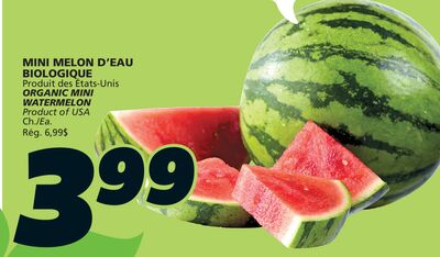 MINI MELON D'EAU BIOLOGIQUE