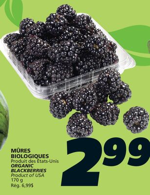 MÛRES BIOLOGIQUES