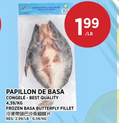 PAPILLON DE BASA